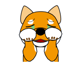 Move! Shiba Inu KOCHACHA. sticker #13052769