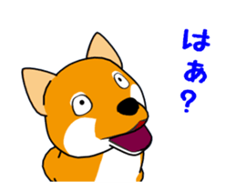 Move! Shiba Inu KOCHACHA. sticker #13052771