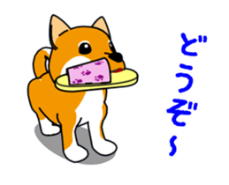 Move! Shiba Inu KOCHACHA. sticker #13052774