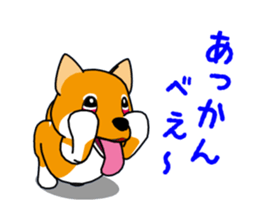 Move! Shiba Inu KOCHACHA. sticker #13052778