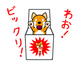 Move! Shiba Inu KOCHACHA. sticker #13052779