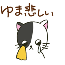 Yuma sents sticker sticker #13053776