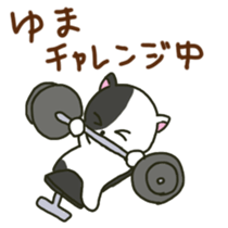 Yuma sents sticker sticker #13053794