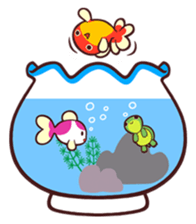 MAINICHI.KINGYO. sticker #13054576