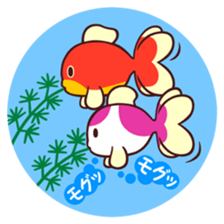 MAINICHI.KINGYO. sticker #13054577