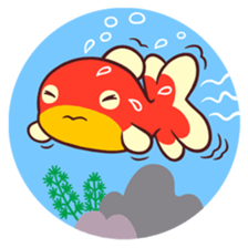 MAINICHI.KINGYO. sticker #13054578