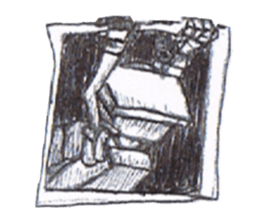 Camera head sticker #13055311