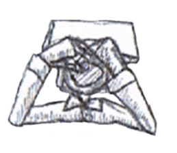 Camera head sticker #13055319