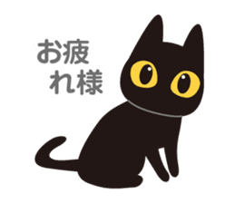 Go even today is the black cat sticker #13057893