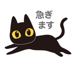 Go even today is the black cat sticker #13057894