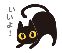 Go even today is the black cat sticker #13057895