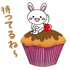 White cat & White rabbit MIX