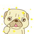 Pug Jiro Animated!