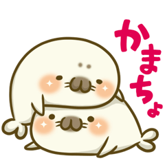 Cute Baby Harbor seal 3!!