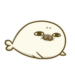 Cute Baby Harbor seal 3!! sticker #13064252