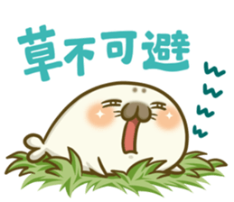 Cute Baby Harbor seal 3!! sticker #13064254