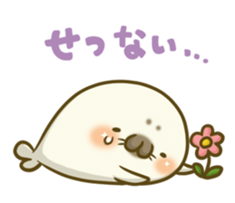 Cute Baby Harbor seal 3!! sticker #13064272