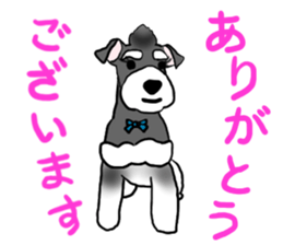 SORA THE SCHNAUZER sticker #13064646