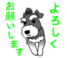 SORA THE SCHNAUZER sticker #13064647