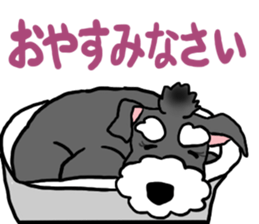 SORA THE SCHNAUZER sticker #13064651