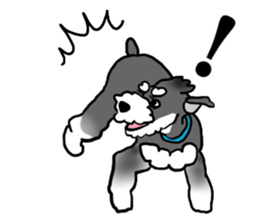 SORA THE SCHNAUZER sticker #13064656
