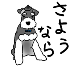 SORA THE SCHNAUZER sticker #13064658