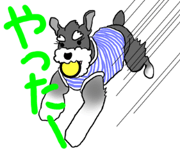 SORA THE SCHNAUZER sticker #13064662