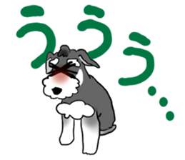 SORA THE SCHNAUZER sticker #13064672