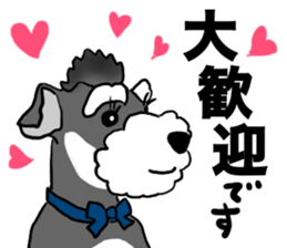 SORA THE SCHNAUZER sticker #13064676