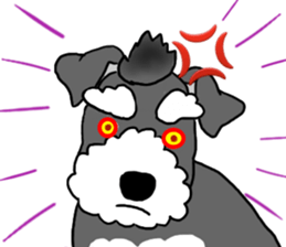 SORA THE SCHNAUZER sticker #13064678