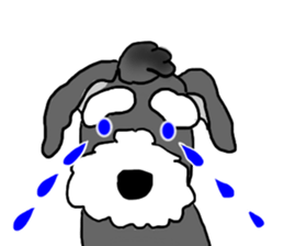 SORA THE SCHNAUZER sticker #13064679