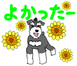 SORA THE SCHNAUZER sticker #13064680