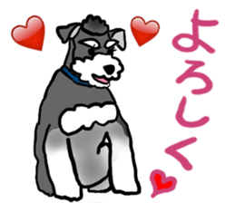 SORA THE SCHNAUZER sticker #13064683