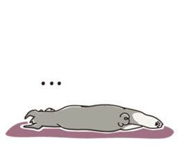 M Schnauzer HARU ver.2 sticker #13064984