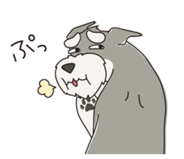 M Schnauzer HARU ver.2 sticker #13064990