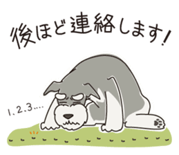 M Schnauzer HARU ver.2 sticker #13064995