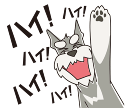 M Schnauzer HARU ver.2 sticker #13064998