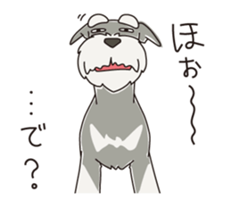M Schnauzer HARU ver.2 sticker #13065001