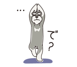 M Schnauzer HARU ver.2 sticker #13065005