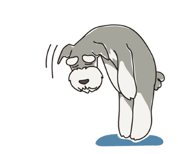 M Schnauzer HARU ver.2 sticker #13065012