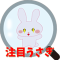 Attention love rabbit