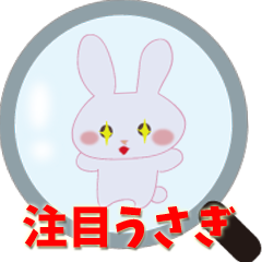 Attention love rabbit