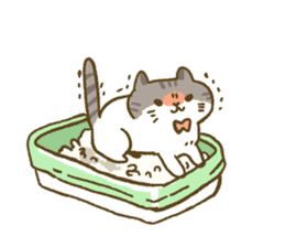 This cat is Yuzu Nyan !! sticker #13066287