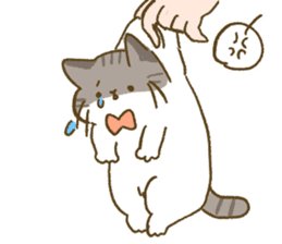 This cat is Yuzu Nyan !! sticker #13066300