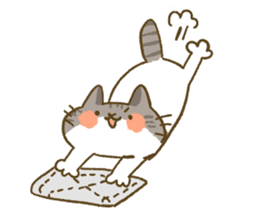 This cat is Yuzu Nyan !! sticker #13066316