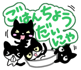 Four black cats sticker #13069019