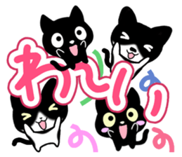 Four black cats sticker #13069020
