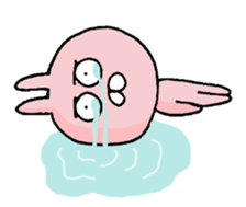 pengyon4 sticker #13070229