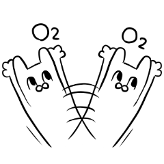 silly rabbit message sticker