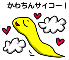 Kawachin Tamasi Sticker sticker #13071121